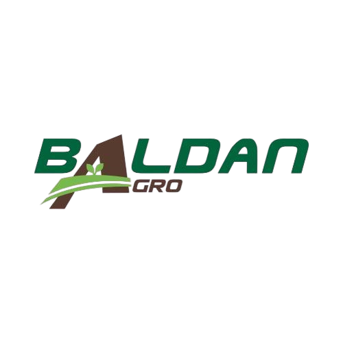 Logo Baldan